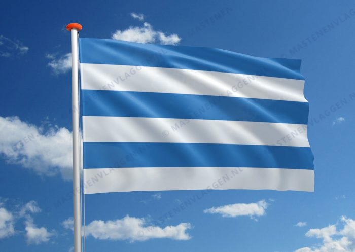 Vlag Tallinn