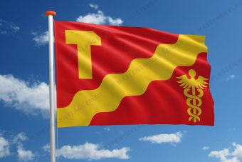 Vlag Tampere