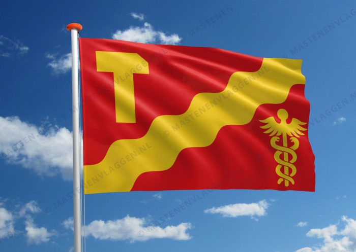 Vlag Tampere