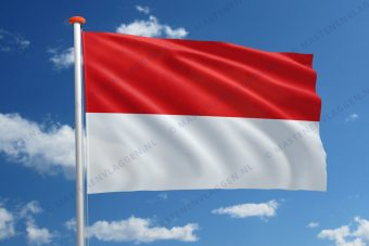Vlag Wenen