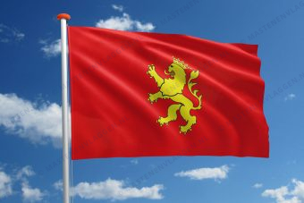 Vlag Zaragoza