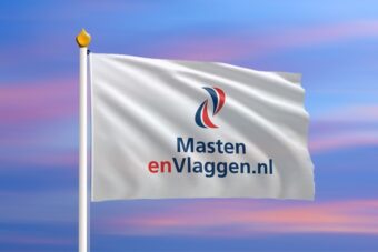 Mastvlag