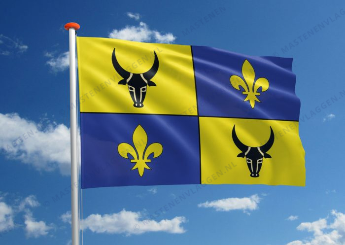 Vlag Antananarivo