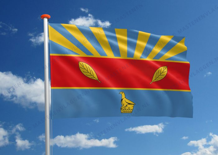 Vlag Harare