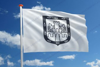 Vlag Mexico-Stad