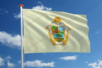 Vlag Manaus