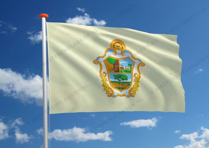 Vlag Manaus