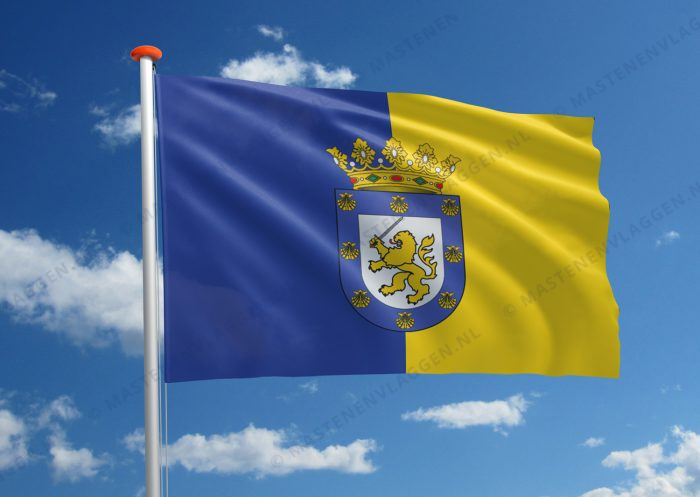 Vlag Santiago