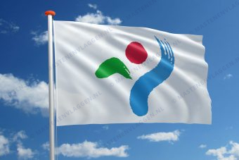Vlag Seoul
