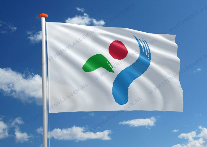 Vlag Seoul