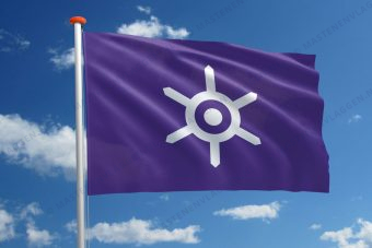 Vlag Tokio
