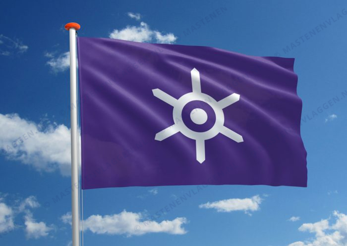 Vlag Tokio