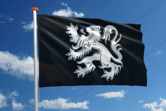 Vlag Asse