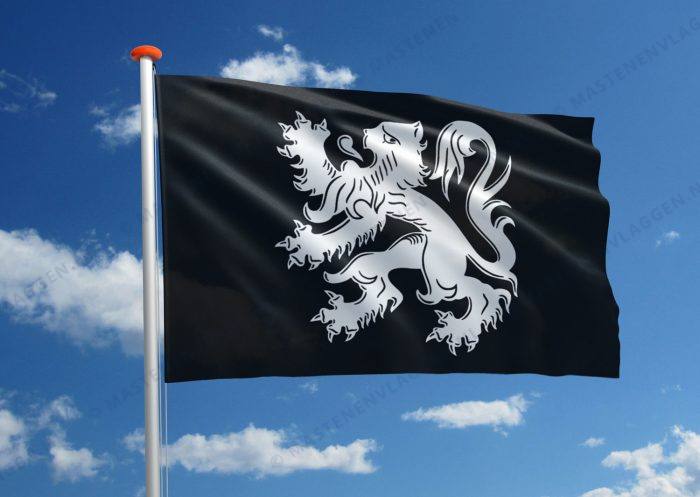 Vlag Asse