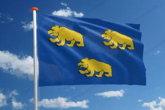 Vlag Beernem