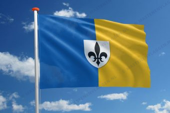 Vlag Begijnendijk