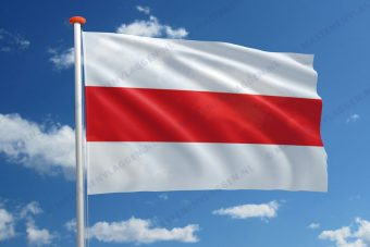 Vlag Berlare