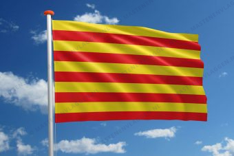Vlag Borgloon