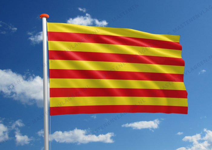 Vlag Borgloon