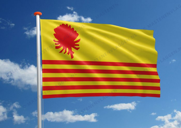 Vlag Borsbeek