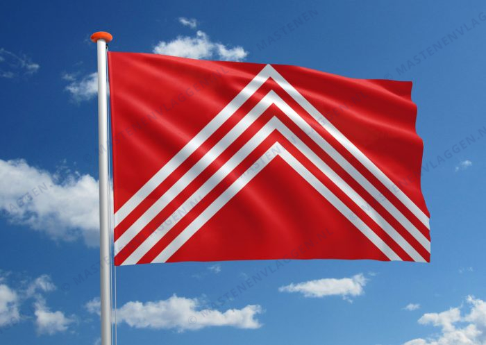 Vlag Brakel