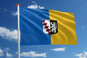 Vlag Buggenhout