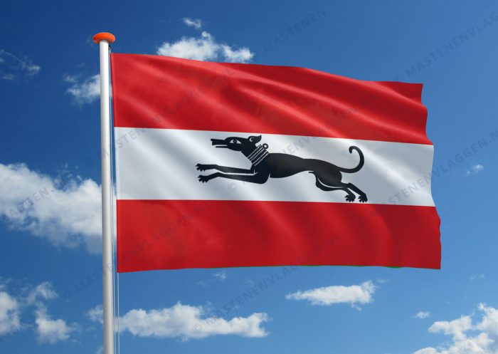 Vlag Damme