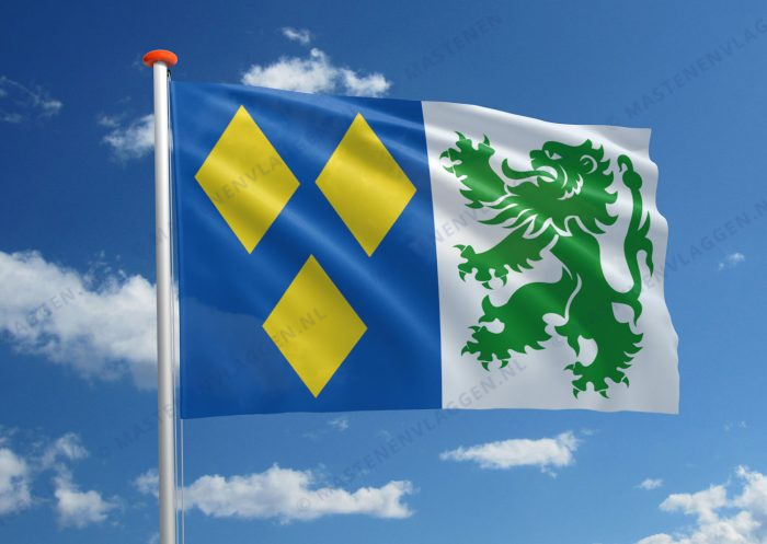 Vlag De Panne