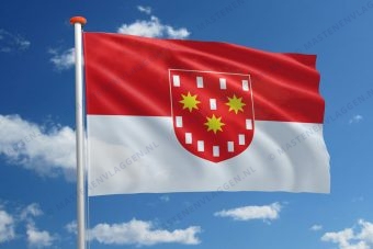 Vlag De Pinte