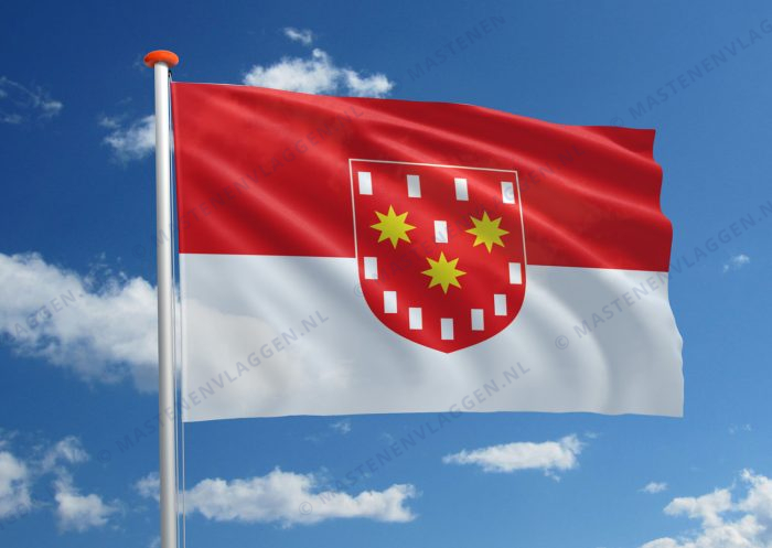 Vlag De Pinte
