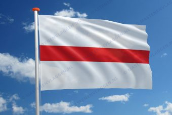 Vlag Dendermonde