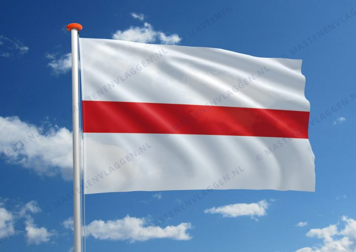 Vlag Dendermonde