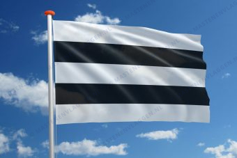 Vlag Diest