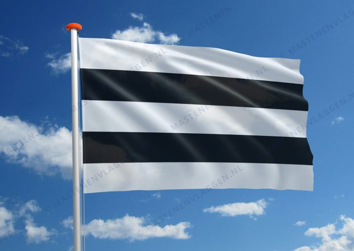 Vlag Diest