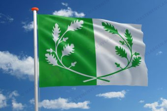 Vlag Eeklo