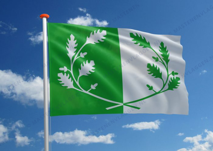 Vlag Eeklo
