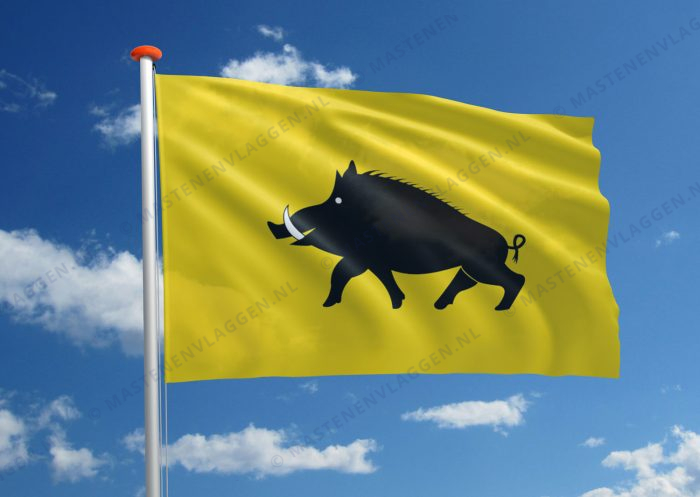 Vlag Evergem