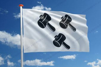 Vlag Gooik