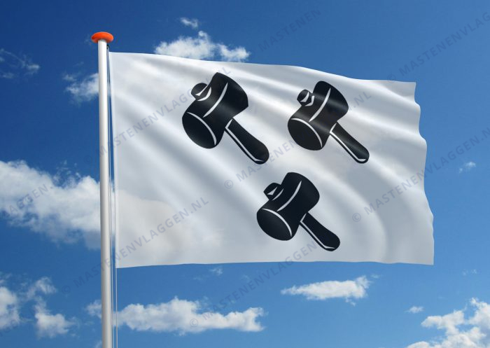 Vlag Gooik