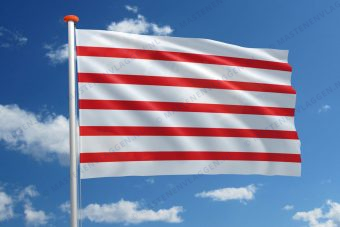 Vlag Haacht