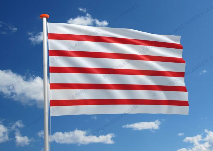 Vlag Haacht