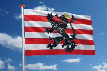 Vlag Ham