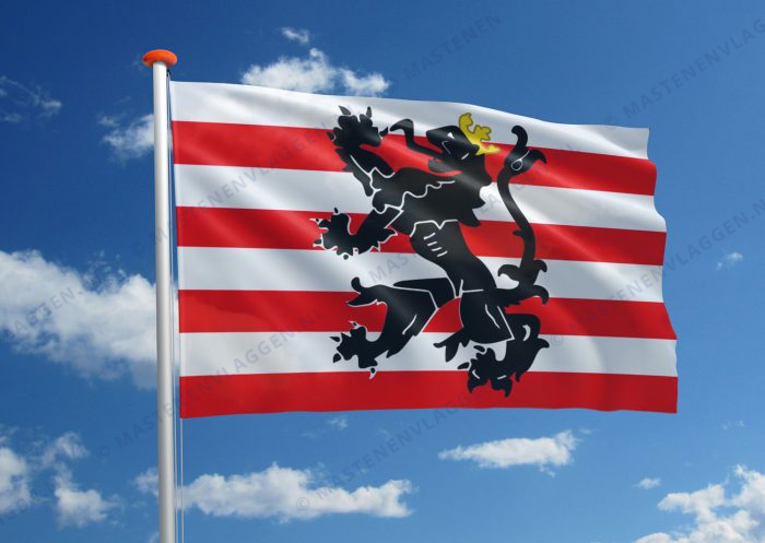 Vlag Ham