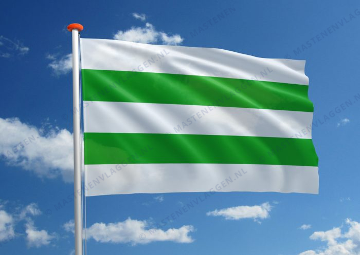 Vlag Hasselt