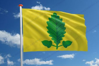 Vlag Heusden-Zolder