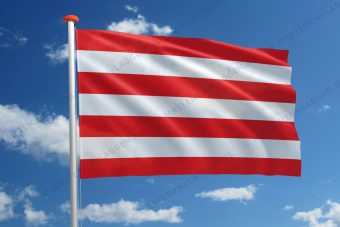 Vlag Hulshout