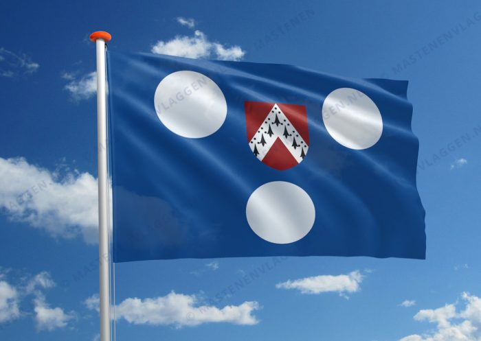 Vlag Ichtegem
