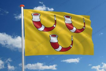 Vlag Kinrooi