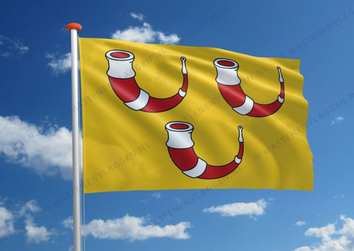 Vlag Kinrooi