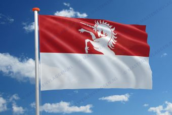 Vlag Kruibeke